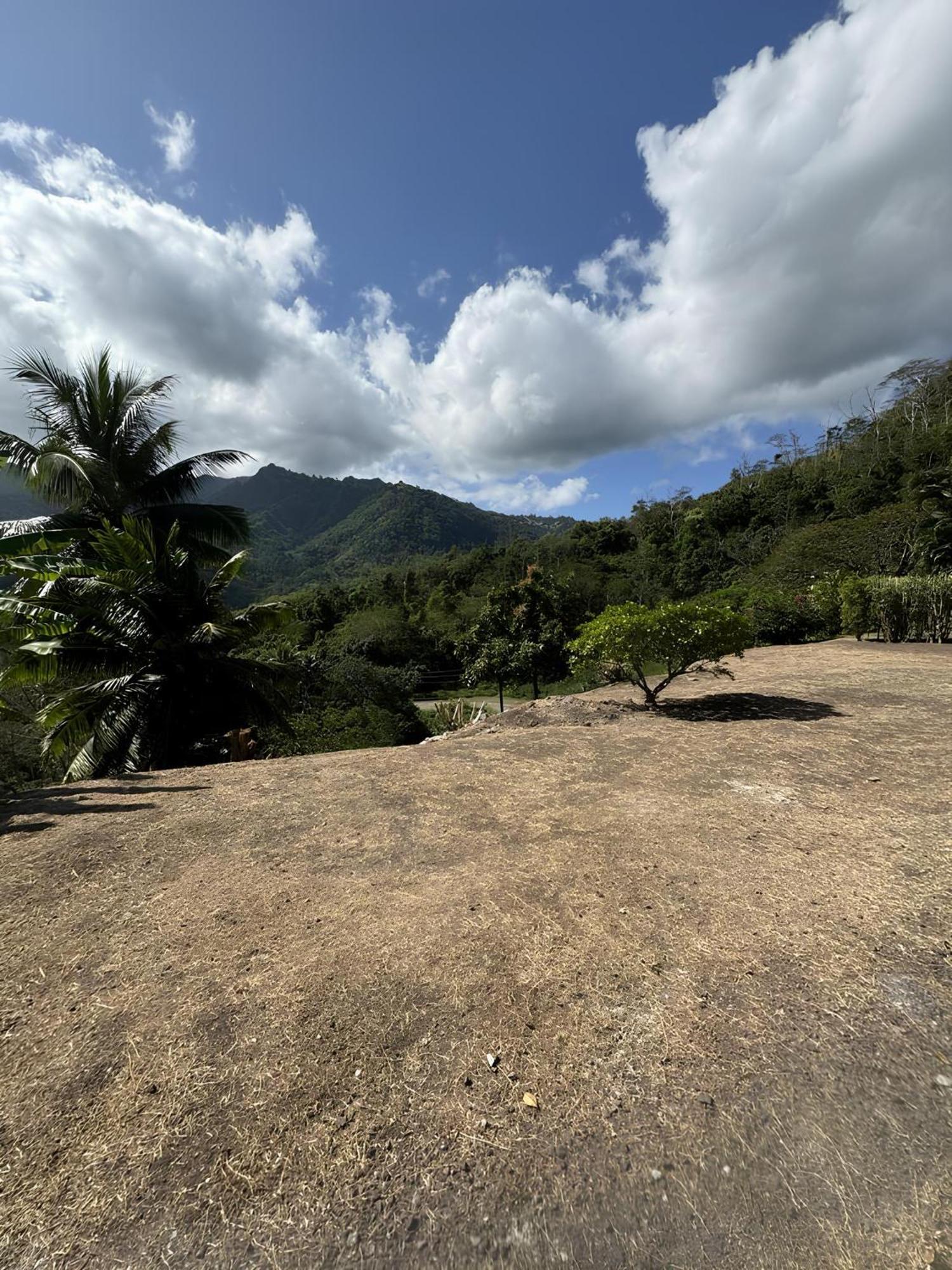 Tiki Lodge Hiva Oa Atuona Eksteriør bilde